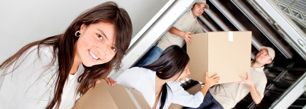 Professional Removalists Namoi River